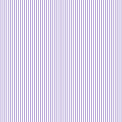 Dog Collar | Lavender Stroll