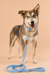 Fabric Leashes
