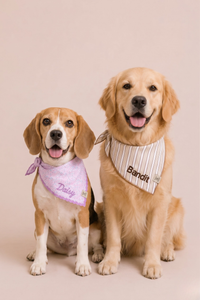 Embroidered Bandanas