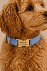 Collars