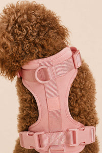 Padded Harnesses