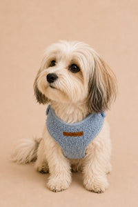 Teddy Harnesses