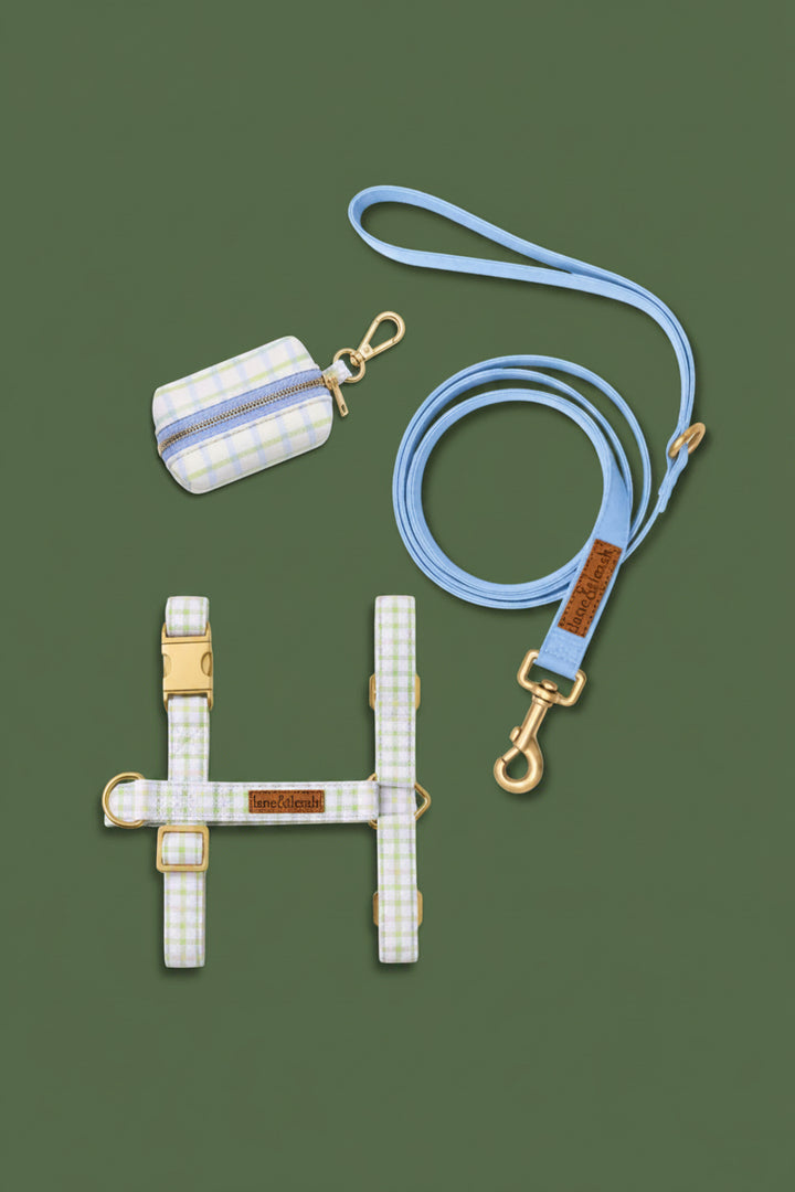 Flatlay of picnic plaid pet accessories on a green background including a waste bag holder, light blue leash, and picnic plaid harness with gold hardware