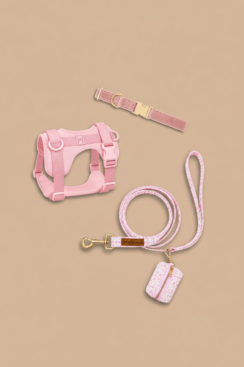 Caden Lane ballet slipper pink pet accessory set including velvet collar, strap harness, leash, and waste bag holder on tan background