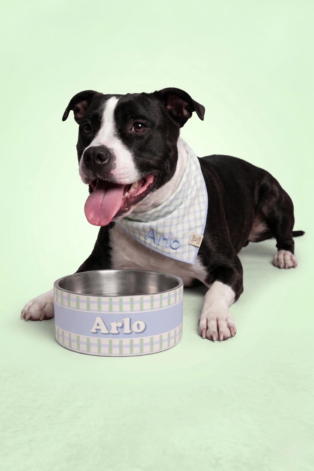 picnic plaid bandana and water bowl