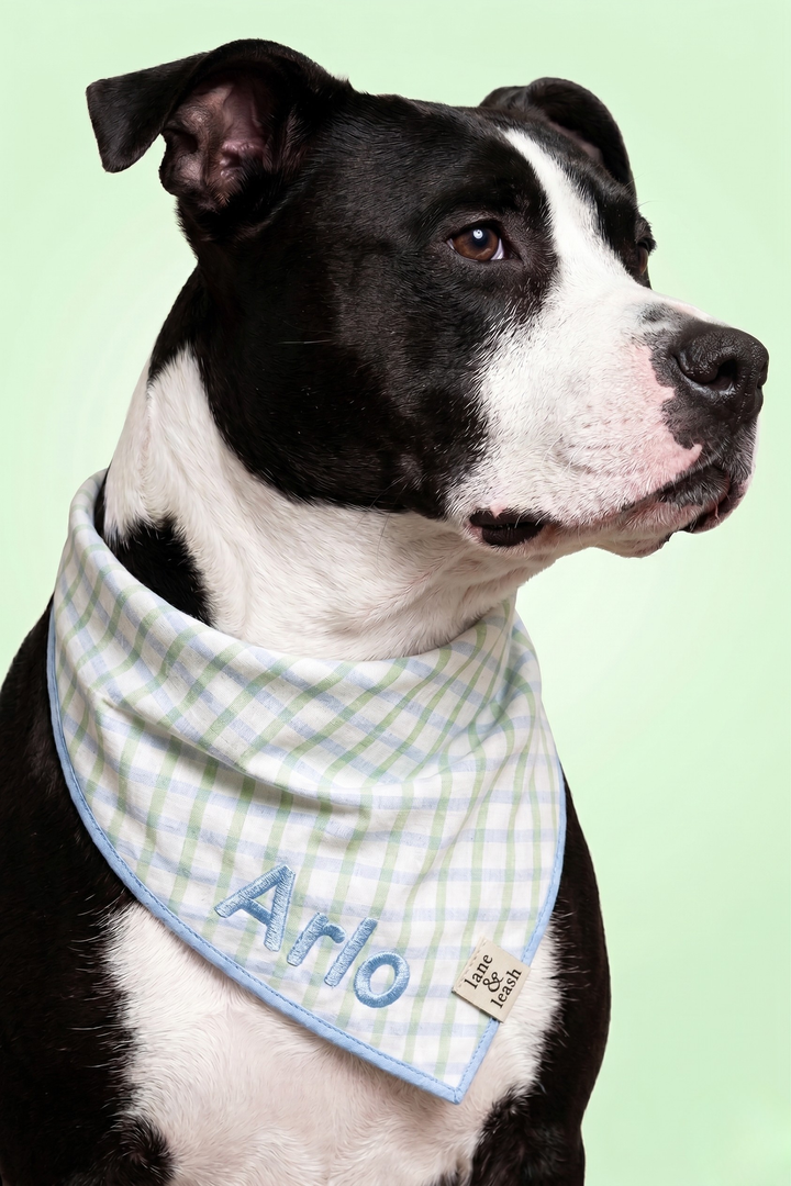 Black and white dog wearing a picnic plaid embroidered pet bandana with the name "Arlo" on the front, against a light green background