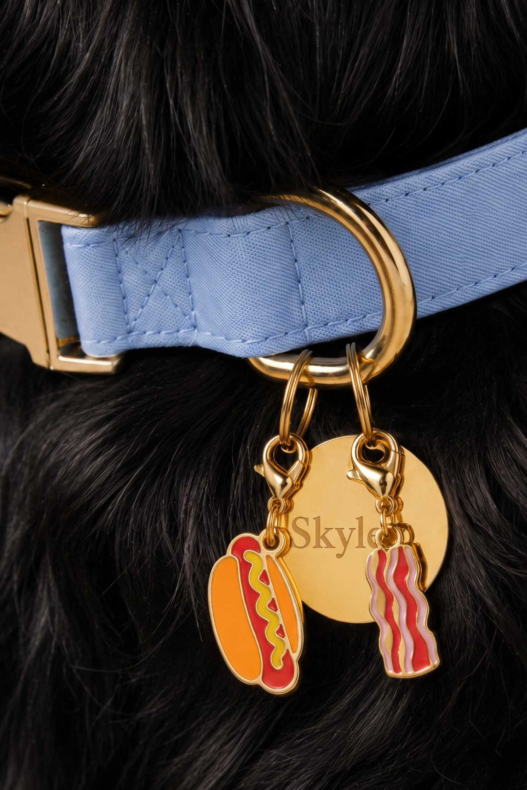 hot dog and bacon charm with circle id tag