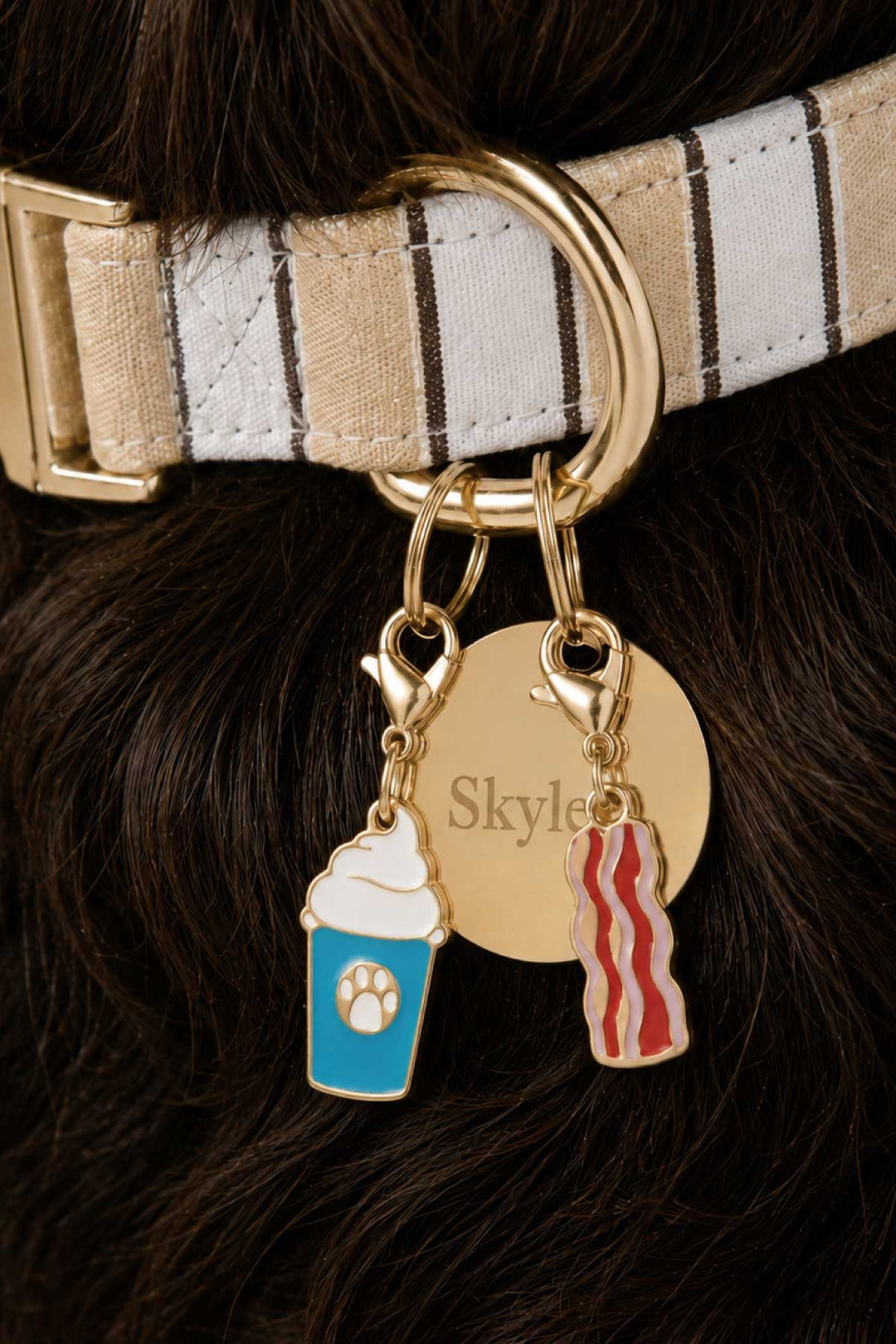 bacon and pup cup charm with circle id tag and biscuit stripe collar