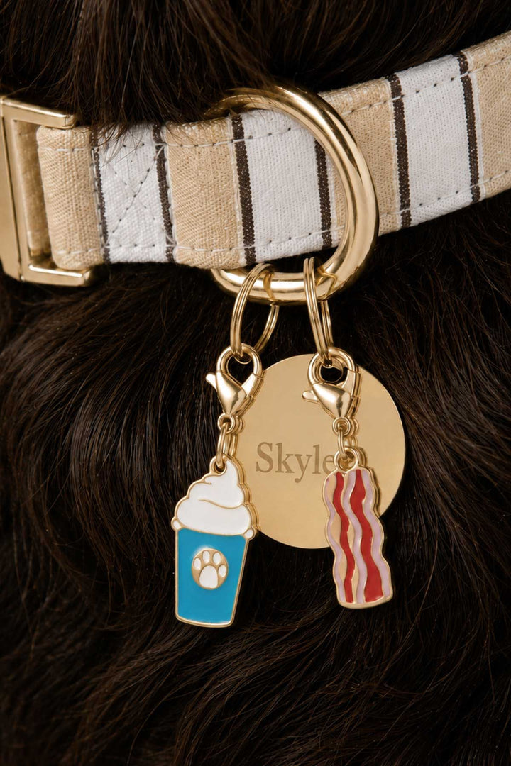 bacon and pup cup charm with circle id tag and biscuit stripe collar