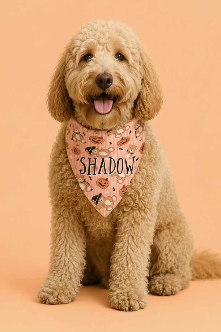 Caden Lane A fluffy tan dog sits centered against a solid peach background, wearing an orange patterned bandana with the word “SHADOW” printed on it.