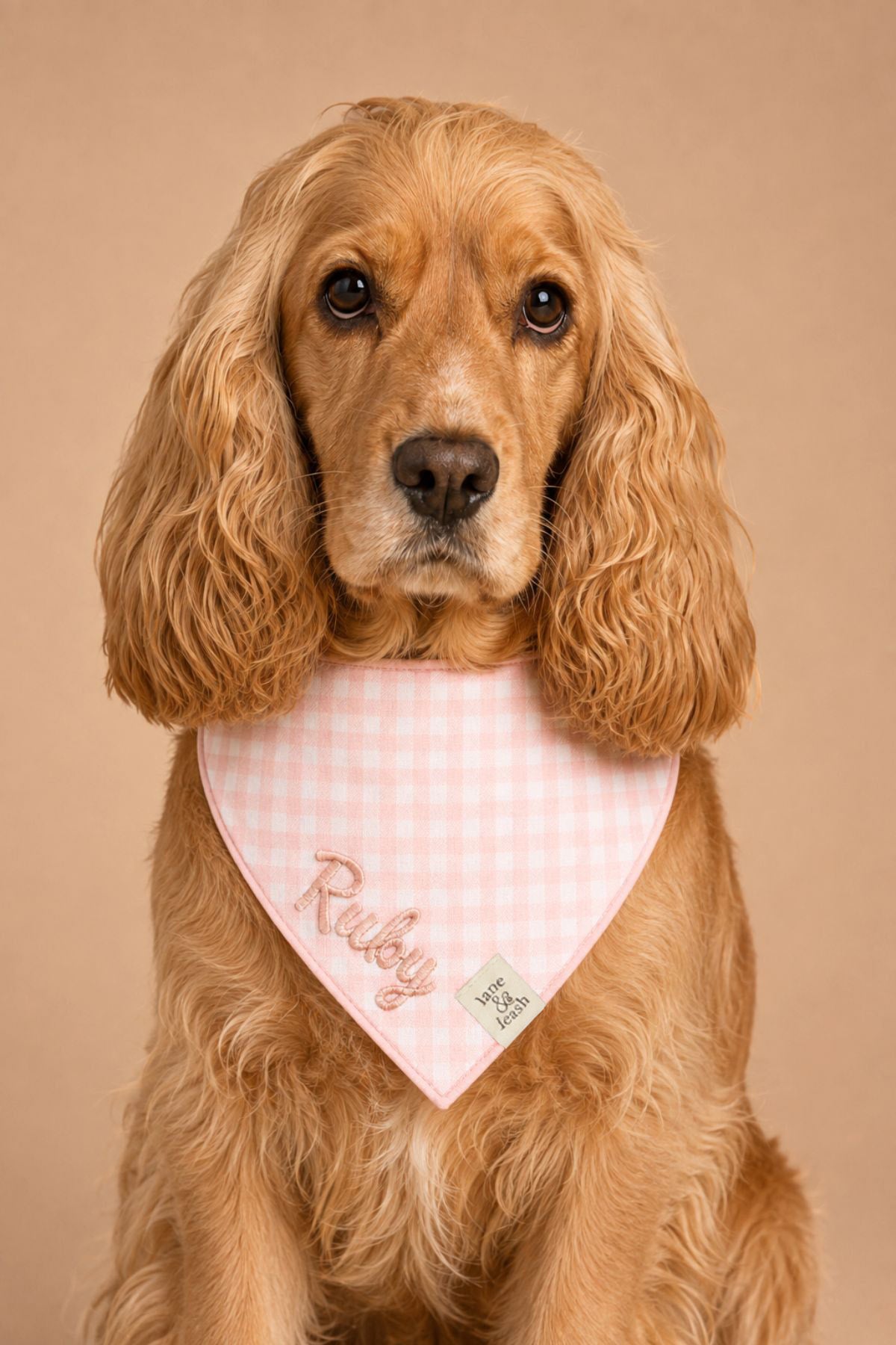 Pet Embroidered Bandana |  Blush Gingham