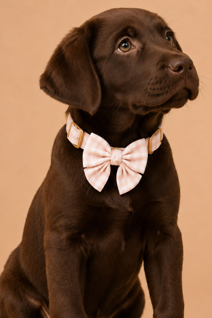 Pet Bow | Blush Gingham