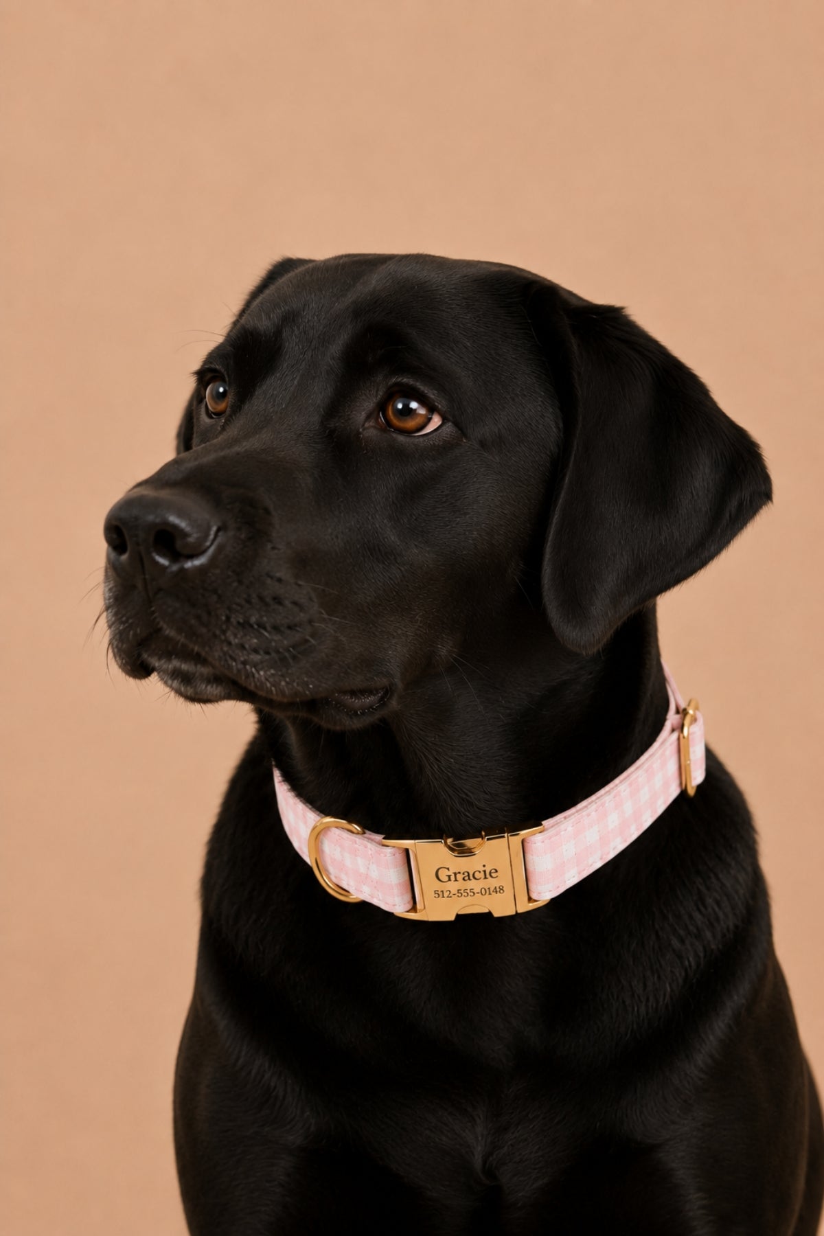 Dog Collar |  Blush Gingham