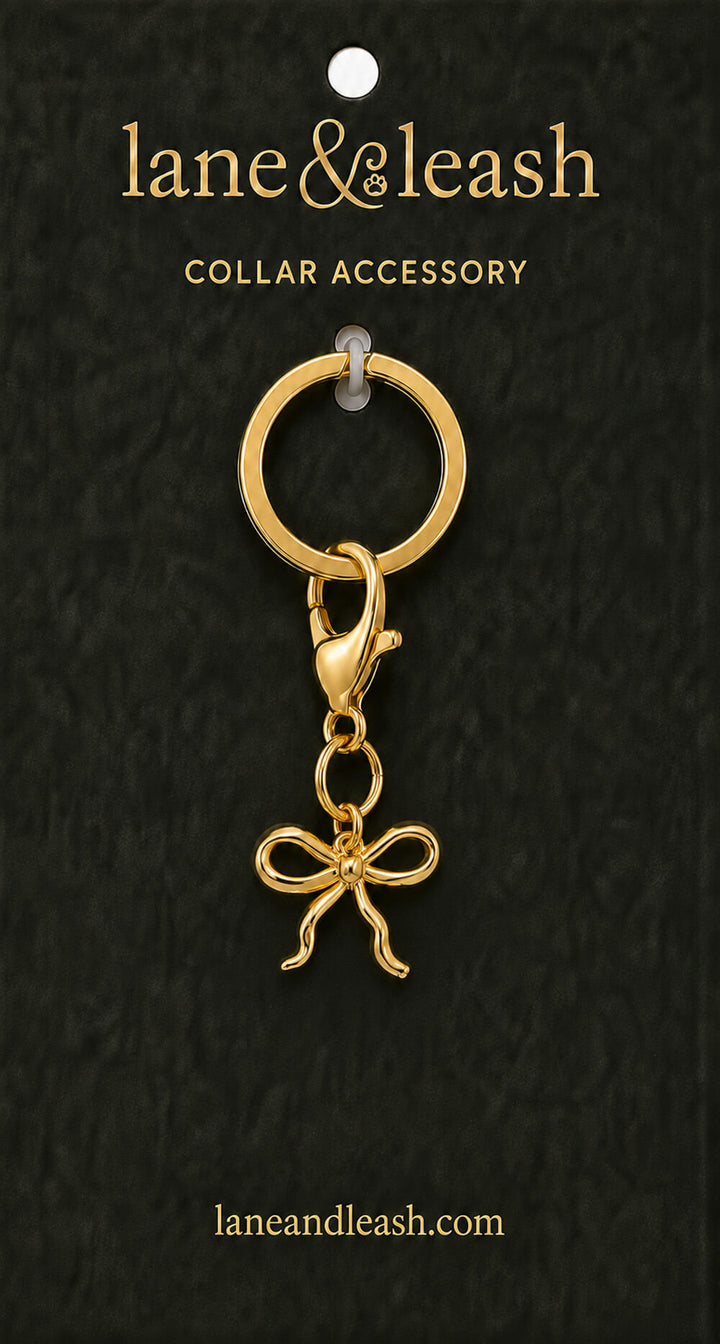 Gold bow Lane & Leash collar accessory charm displayed on dark green packaging card with lobster claw clasp and jump ring