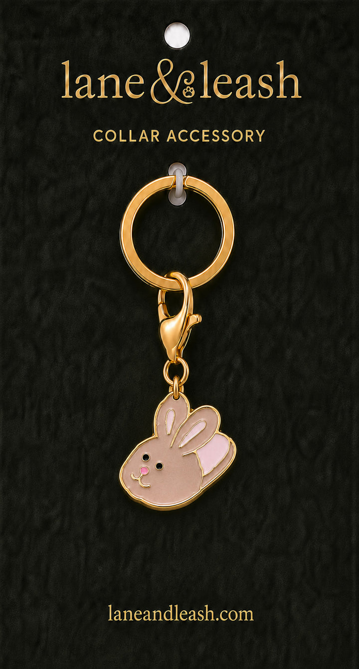 Pink bunny slipper Lane & Leash collar accessory charm on dark green packaging card with lobster claw clasp and jump ring