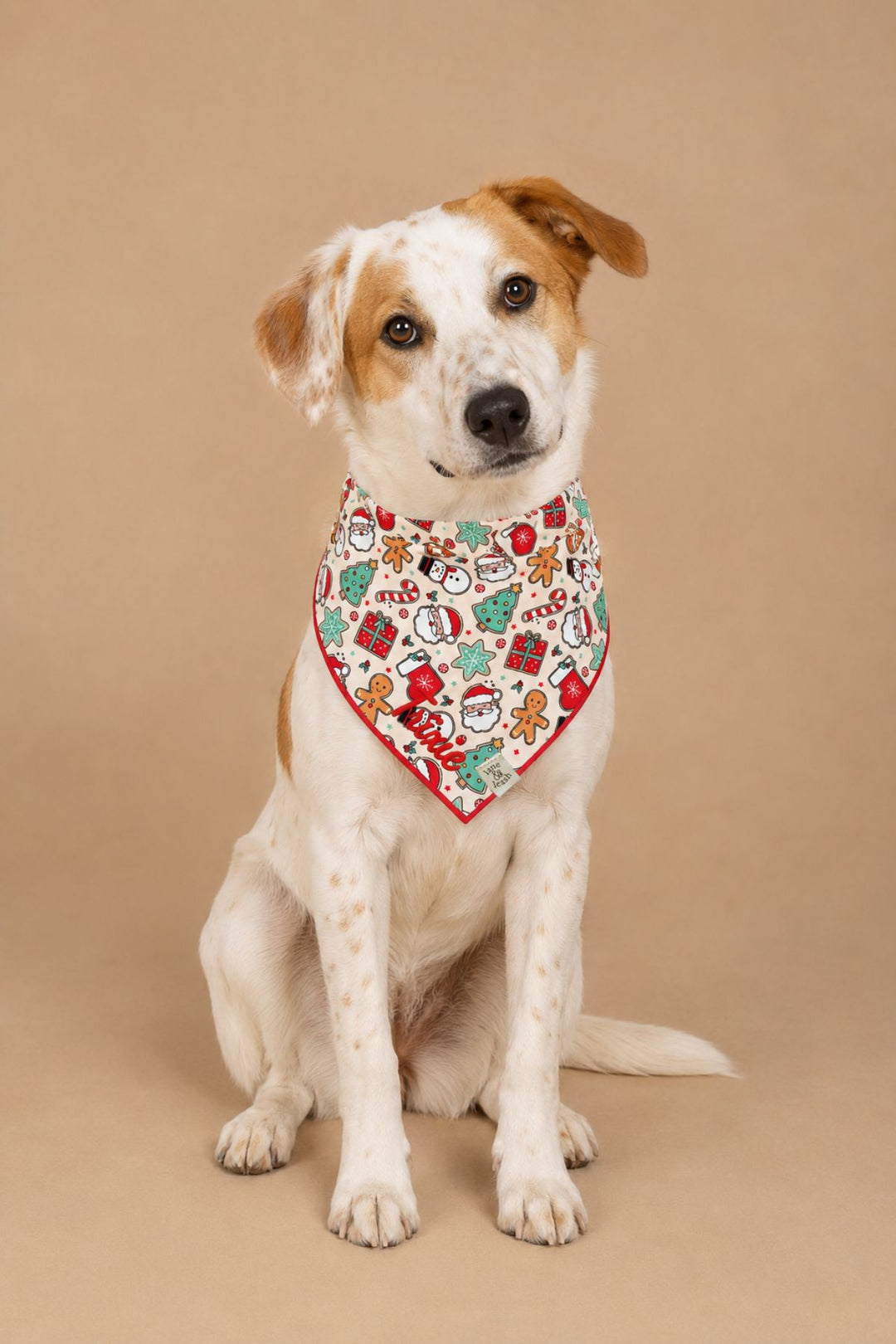 Mixed breed dog wearing bandana from Lane & Leash tied in a knot, featuring a whimsical Christmas Treats pattern with gingerbread men, Santa faces, snowmen, Christmas trees, candy canes, and wrapped presents in red and green. The name 'Trixie' is embroidered in red script near the bottom point, with a small woven Lane & Leash label tag