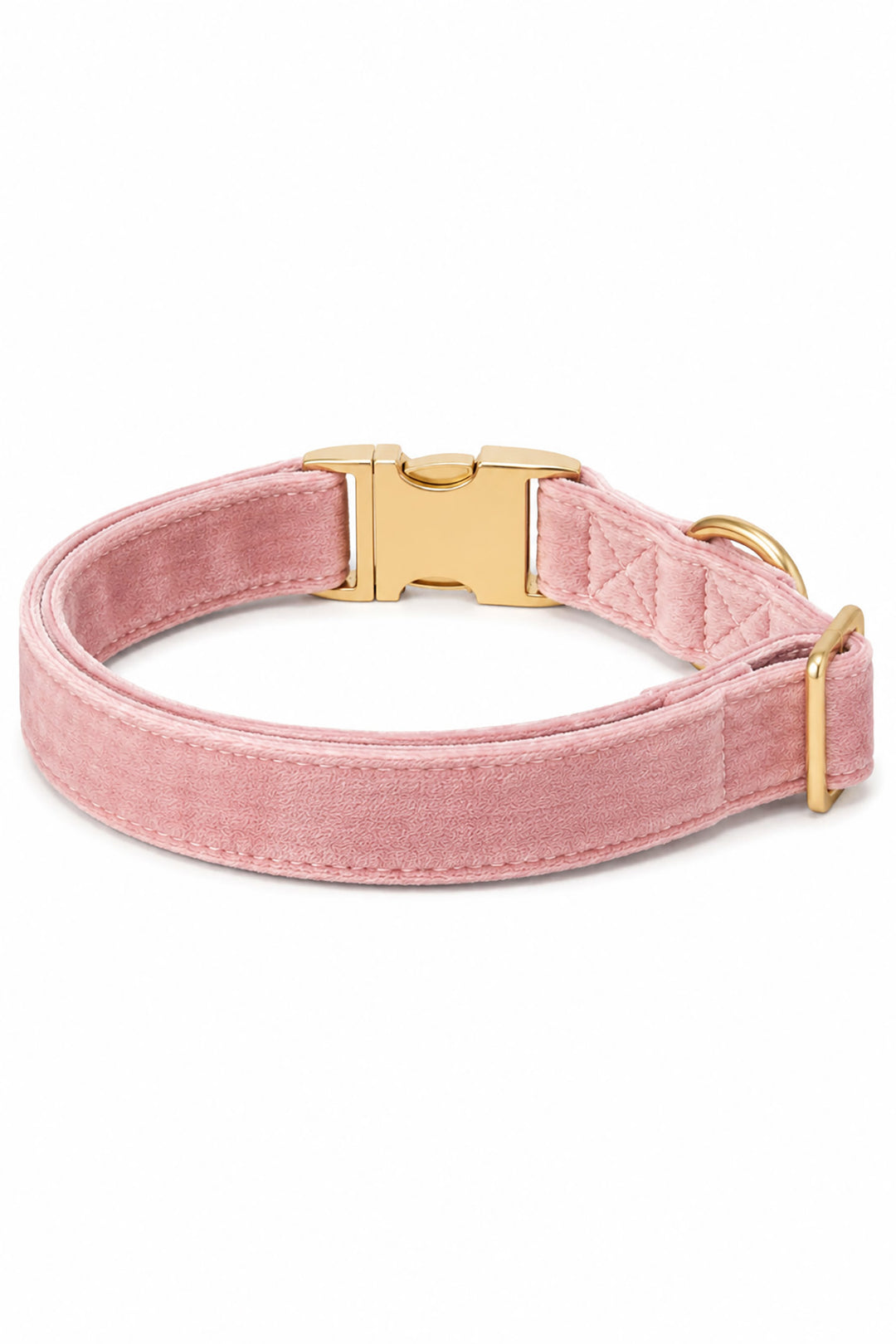 Back view of Caden Lane ballet slipper pink velvet dog collar showing D-ring, stitching detail, and gold buckle hardware