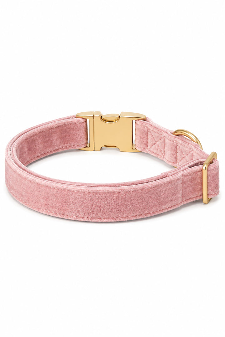 Back view of Caden Lane ballet slipper pink velvet dog collar showing D-ring, stitching detail, and gold buckle hardware