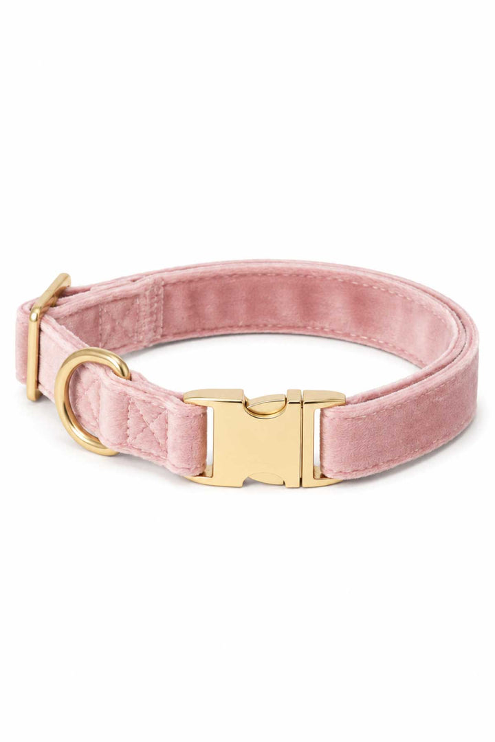 Caden Lane ballet slipper pink velvet dog collar with gold buckle and D-ring hardware, laying flat on white background
