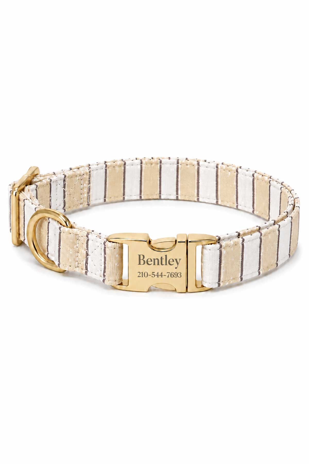 Dog Collar | Biscuit Stripe