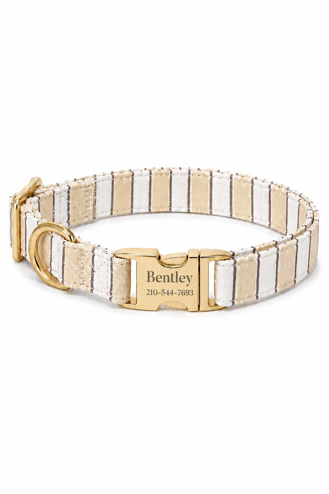 Close-up of personalized Biscuit Stripe dog collar with the name and phone number engraved directly on the gold-tone quick-release buckle