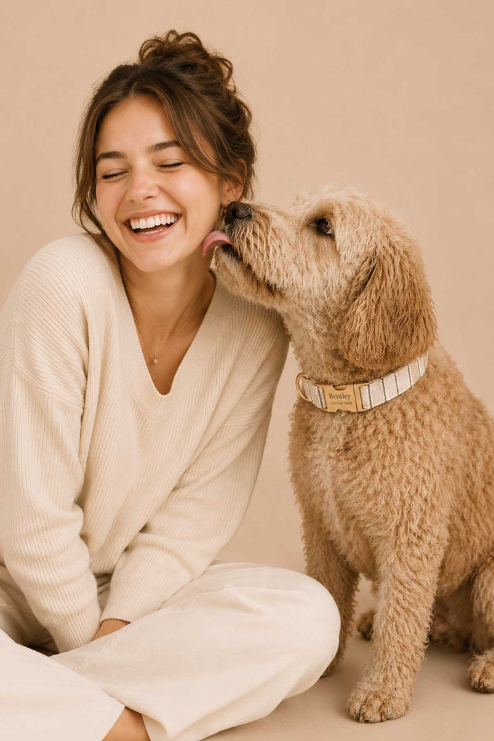 Lifestyle photo of a woman laughing as a golden doodle licks her face; the dog is wearing the personalized Biscuit Stripe dog collar