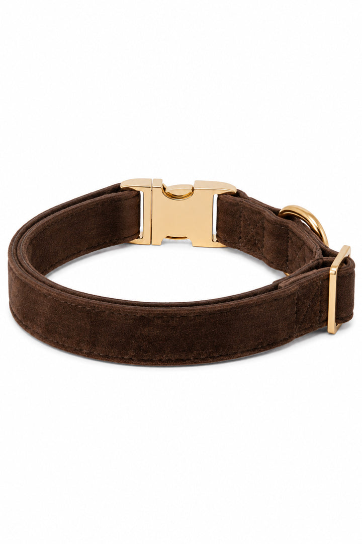 Back view of Caden Lane espresso crush dark brown velvet dog collar showing D-ring, stitching detail, and gold buckle hardware