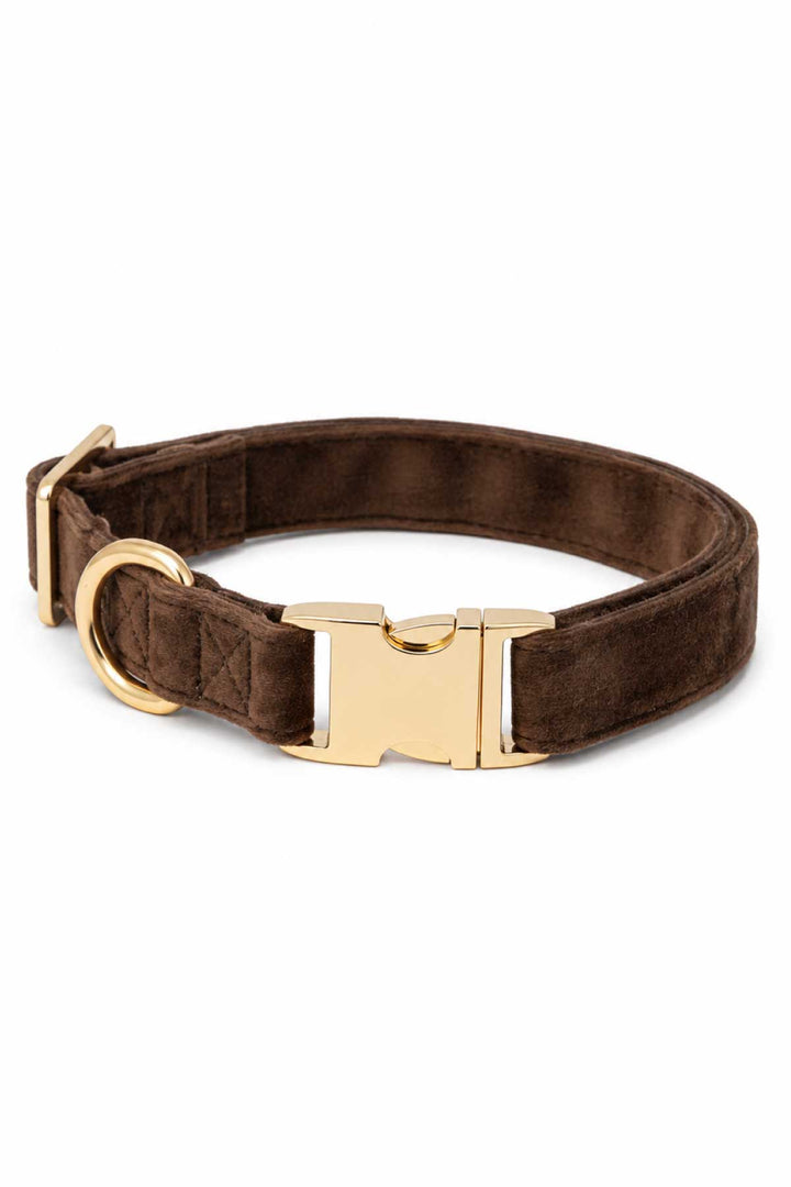 Caden Lane espresso crush dark brown velvet dog collar with gold buckle and D-ring hardware, laying flat on white background