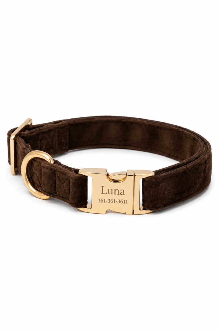 Personalized Caden Lane espresso crush dark brown velvet dog collar with custom name and phone number engraved on gold buckle plate