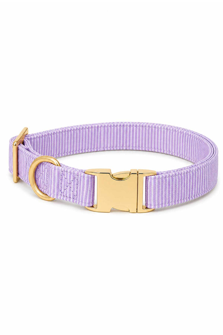 Solid lavender woven dog collar with gold quick-release buckle and D-ring, on white background
