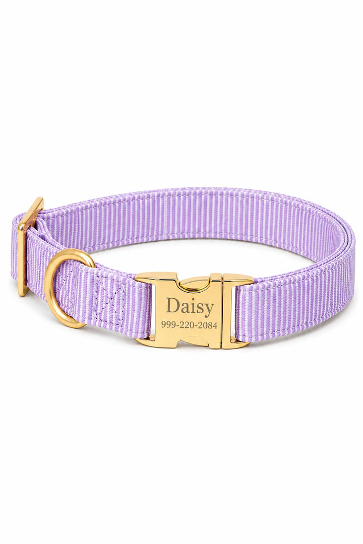 Lavender woven dog collar with gold personalized buckle engraved with a dog name and phone number, on white background