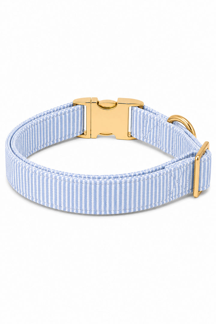 morning mist collar back view