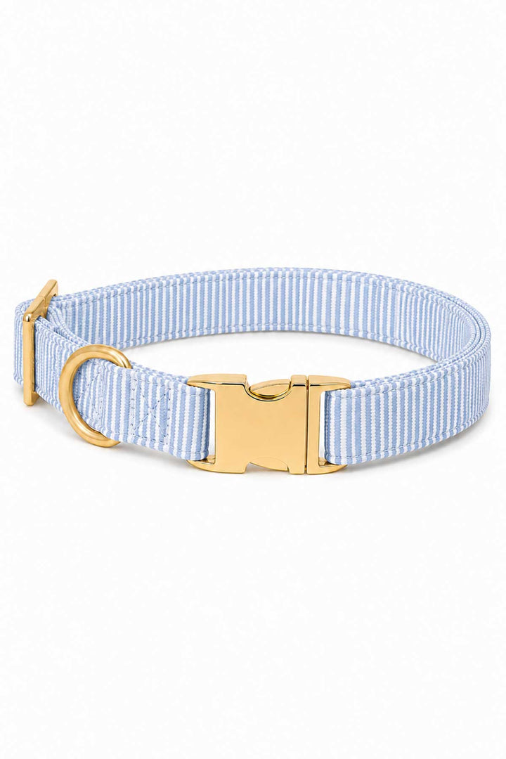 Morning Mist light blue and white pinstripe dog collar with gold quick-release buckle and D-ring, product shot on white background
