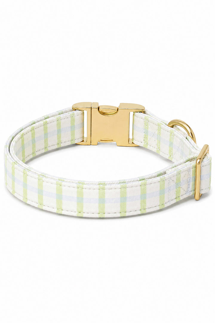 Tan French Bulldog seated and looking to the right, wearing a picnic plaid dog collar with gold personalized ID tag showing the back collar area