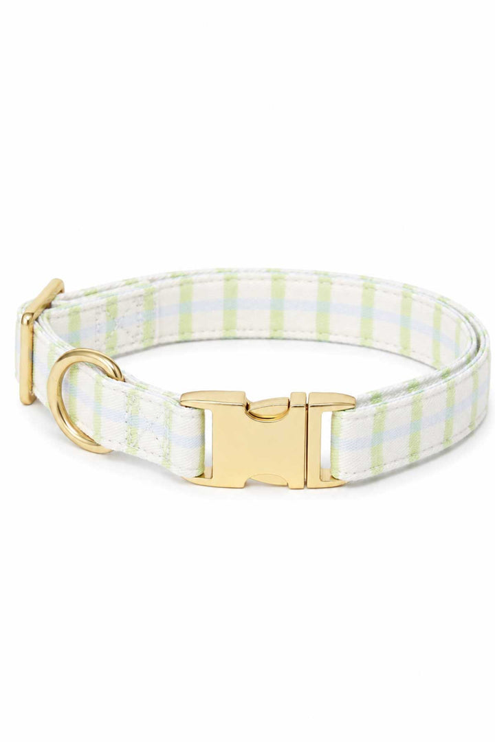 Dog collar in green and blue picnic plaid with a gold quick-release buckle and D-ring, shown coiled on a white background