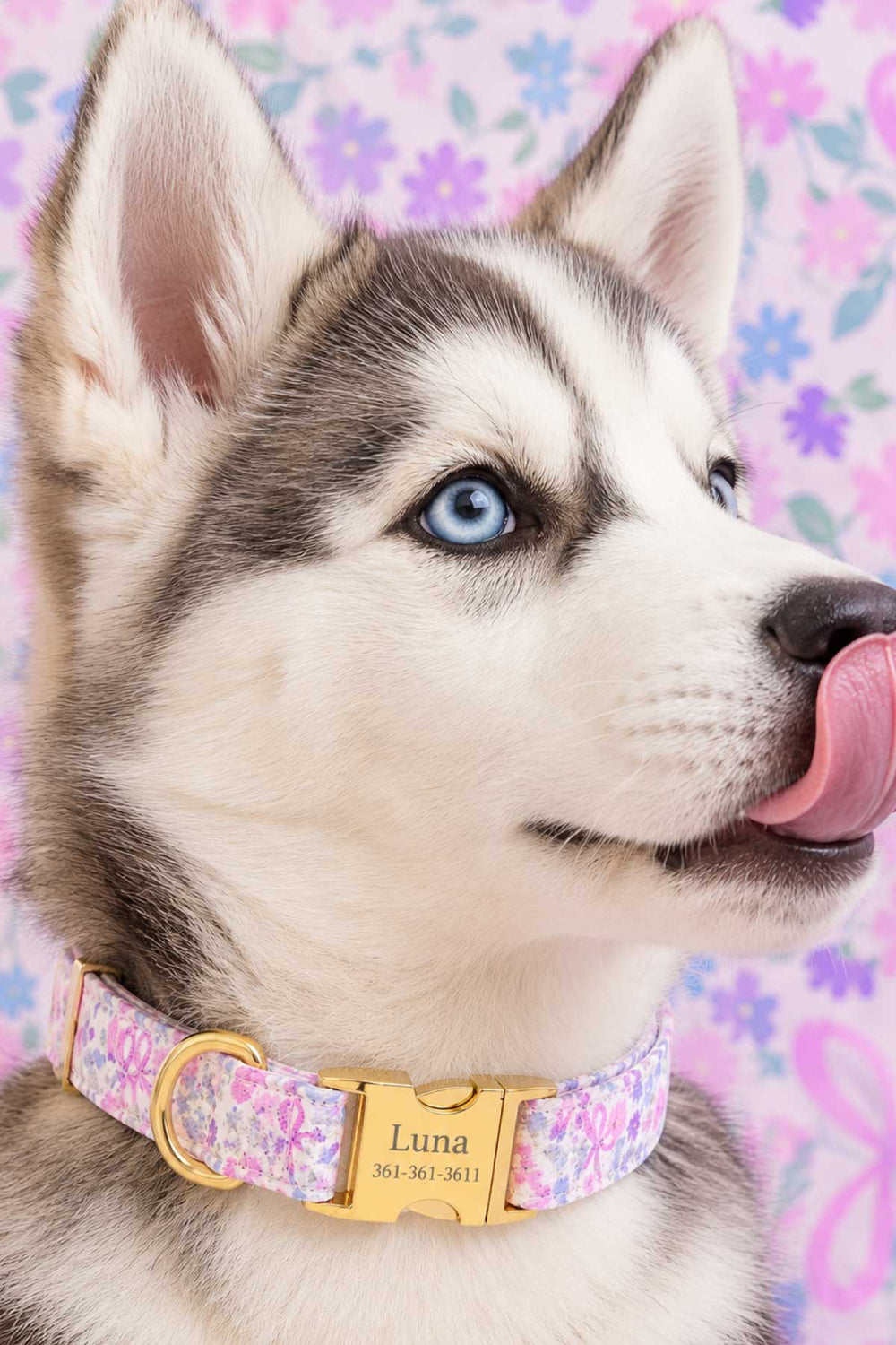 Close-up of a husky puppy wearing the Ribbon Garden collar, showcasing the personalized gold engraved ID buckle with the name "Luna" and phone number, against a floral background