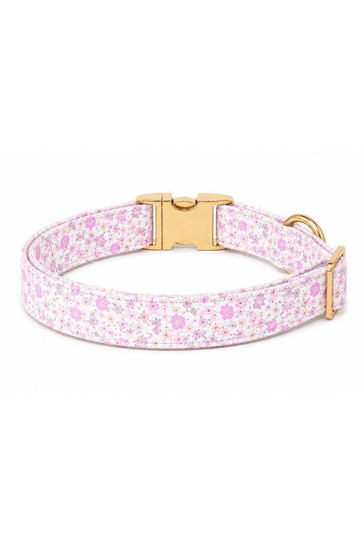 Side view of Scattered Blooms dog collar showing the full floral print, gold buckle hardware, and D-ring without personalization