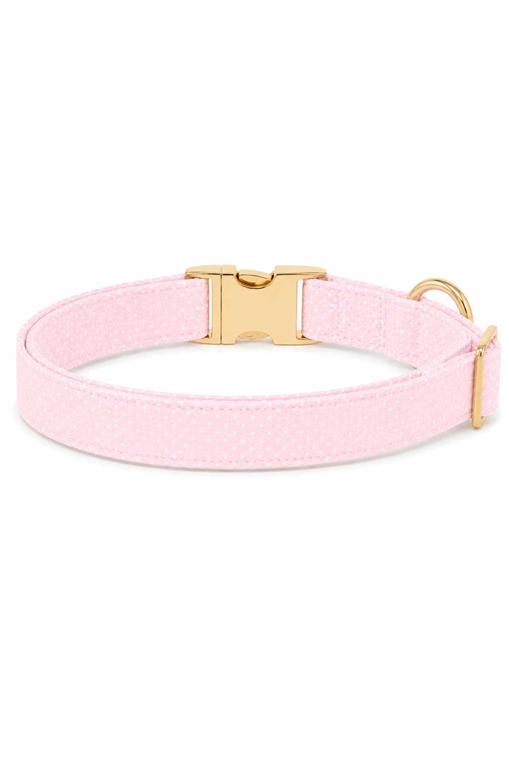 sweet pea spots collar back view