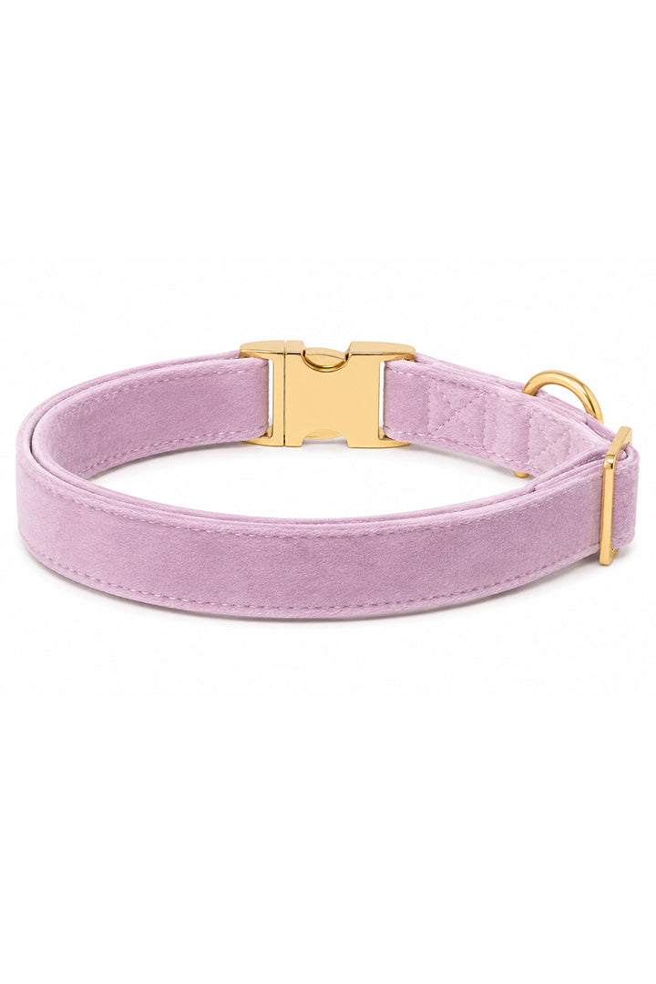 Back view of Caden Lane wisteria walk velvet dog collar showing D-ring, stitching detail, and gold buckle hardware