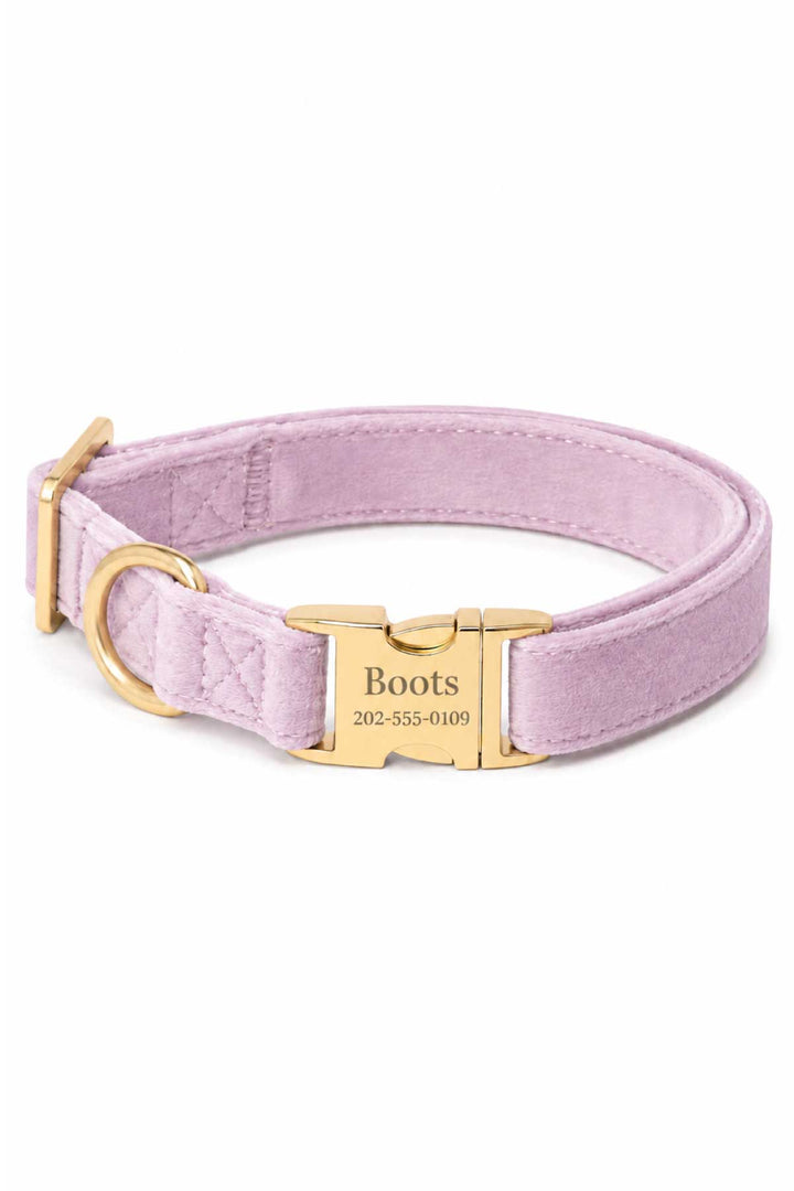 Personalized Caden Lane wisteria walk velvet dog collar with custom name and phone number engraved on gold buckle plate