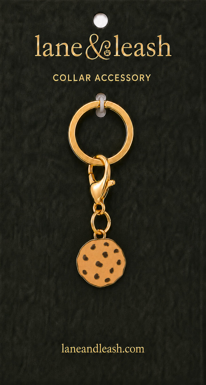 Chocolate chip cookie Lane & Leash collar accessory charm displayed on dark green packaging card with lobster claw clasp and jump ring