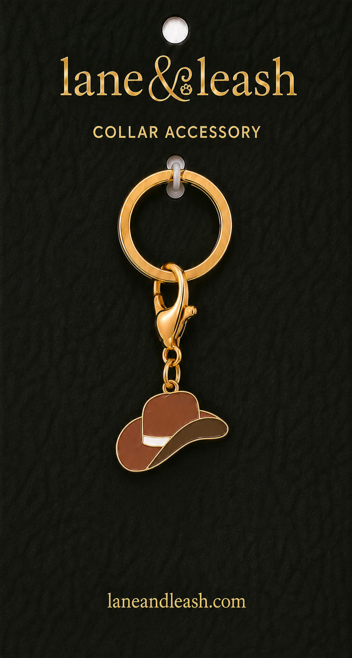 Brown cowboy hat Lane & Leash collar accessory charm displayed on dark green packaging card with lobster claw clasp and jump ring