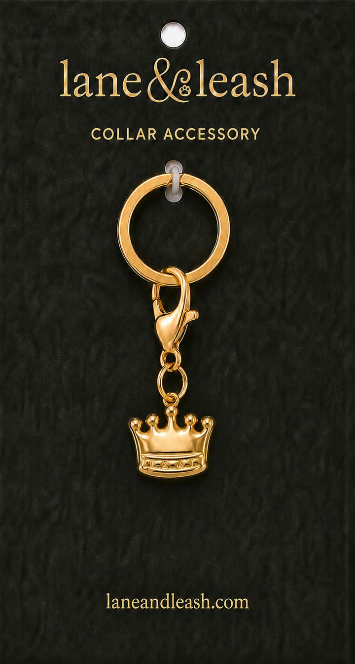 Gold crown Lane & Leash collar accessory charm displayed on dark green packaging card with lobster claw clasp and jump ring