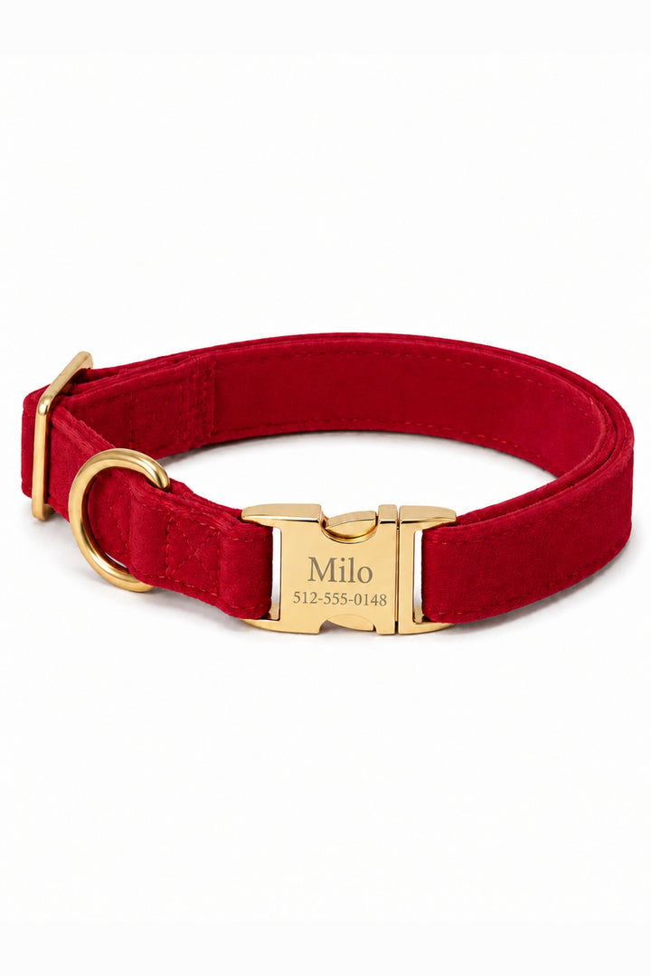 Lane & Leash Fire Hydrant dog collar in solid red velvet, featuring a gold engraved buckle personalized with the name 'Milo' and phone number