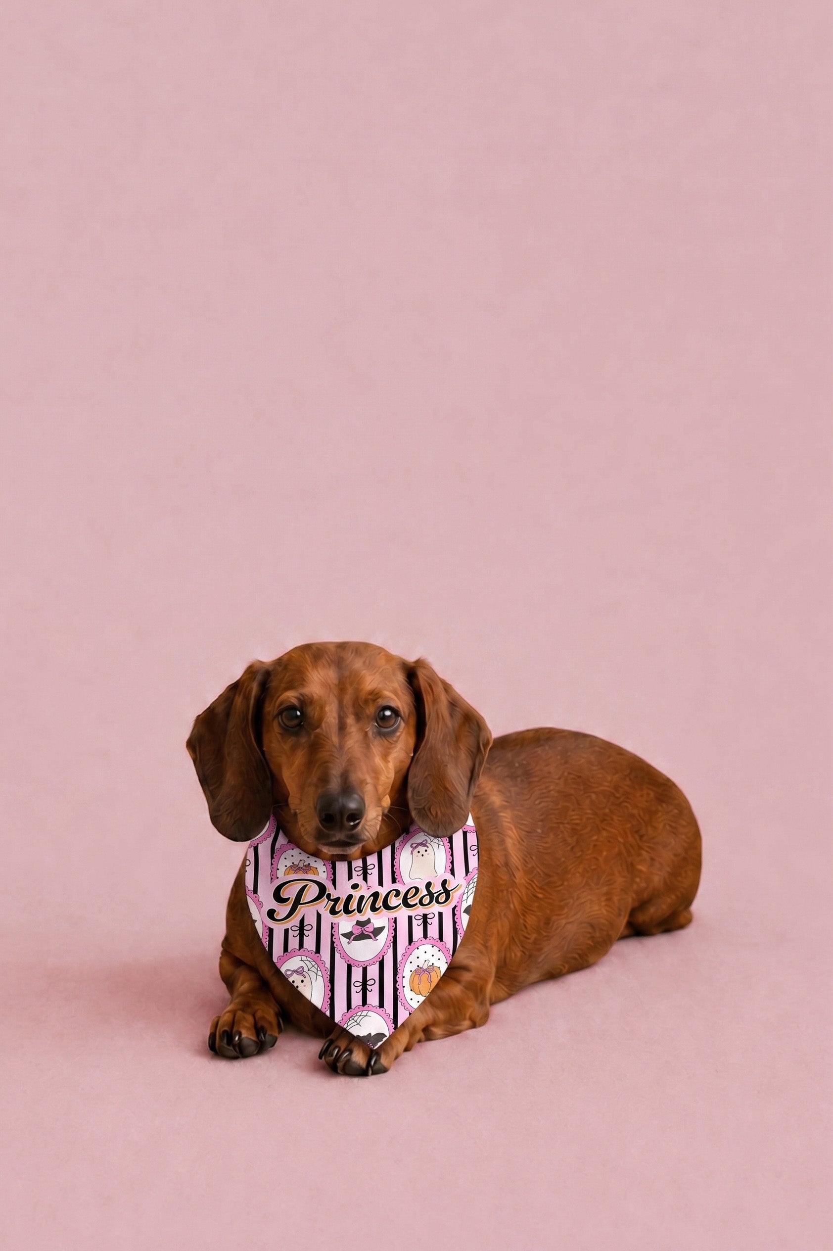 Personalized Halloween Pet Bandana | Galloween