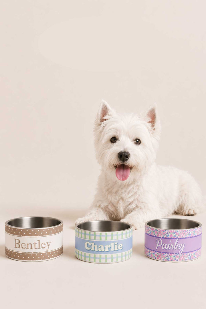 A white fluffy dog peeking over three personalized pet bowls: "Bentley" in brown polka dot, "Charlie" in light blue, and "Paisley" in the Ribbon Garden floral print