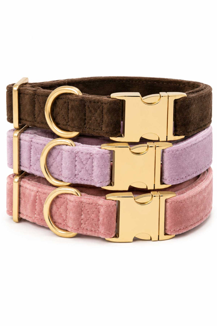 Three Caden Lane velvet dog collars stacked together in espresso brown, wisteria purple, and ballet slipper pink, each with gold hardware