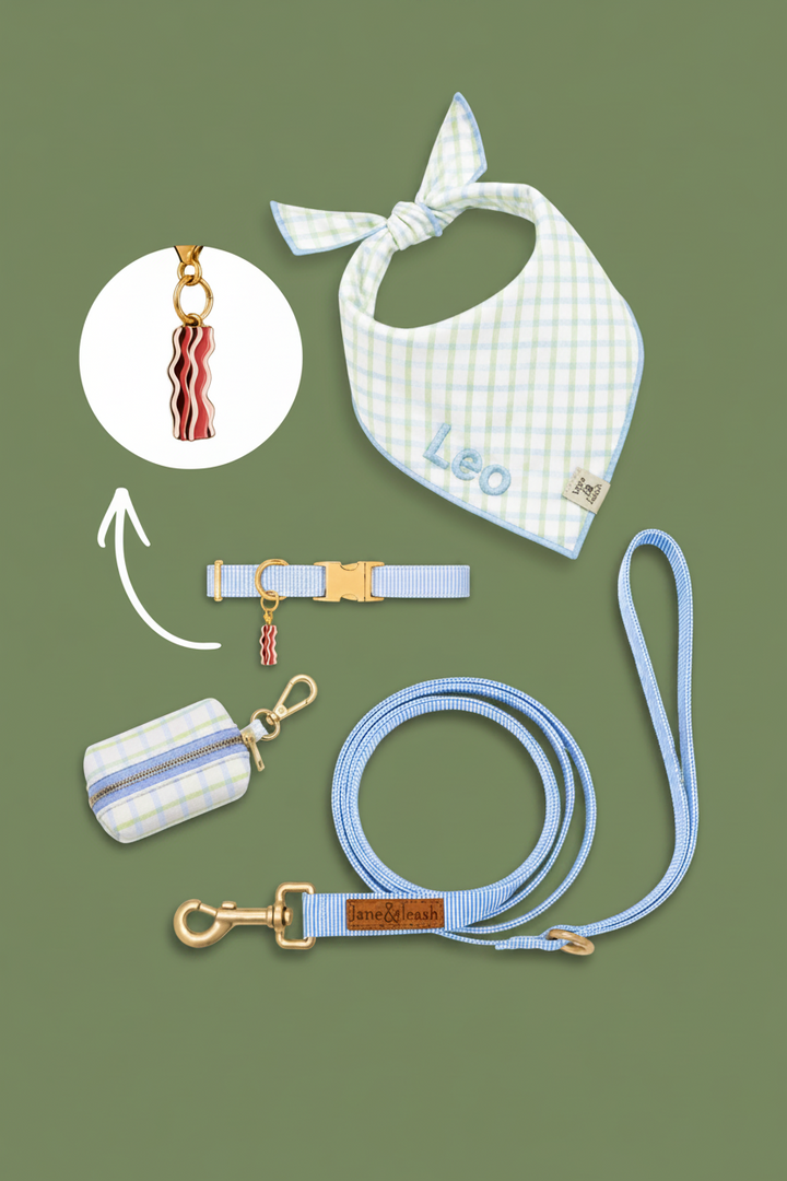 Dog Waste Bag Holders