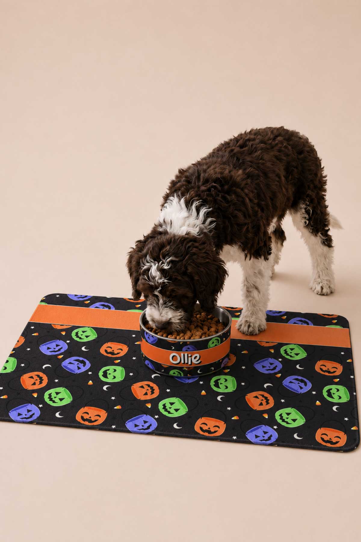 Personalized Halloween Pet Placemat | Candy Crawl