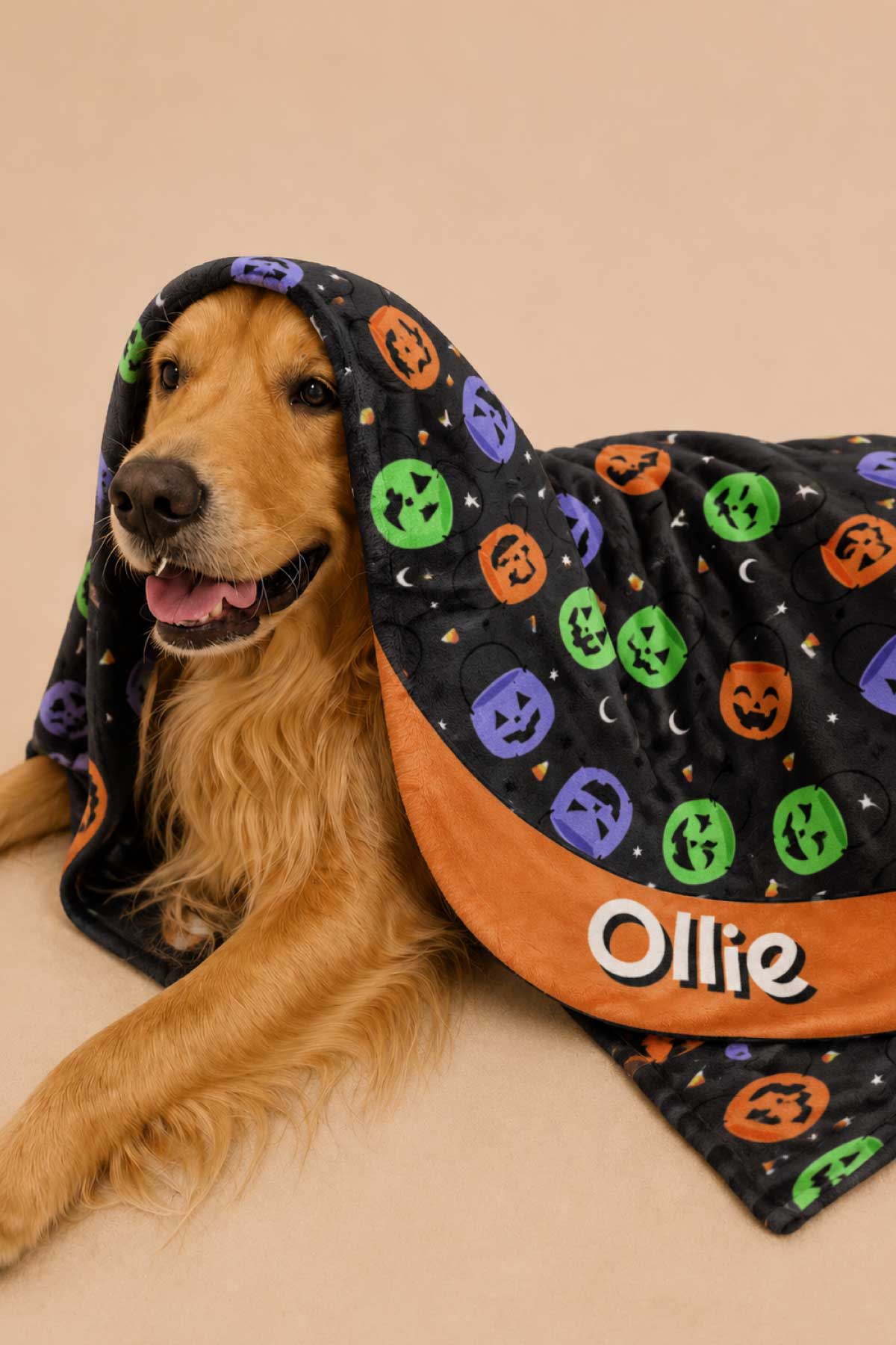 Personalized Halloween Pet Blanket | Candy Crawl
